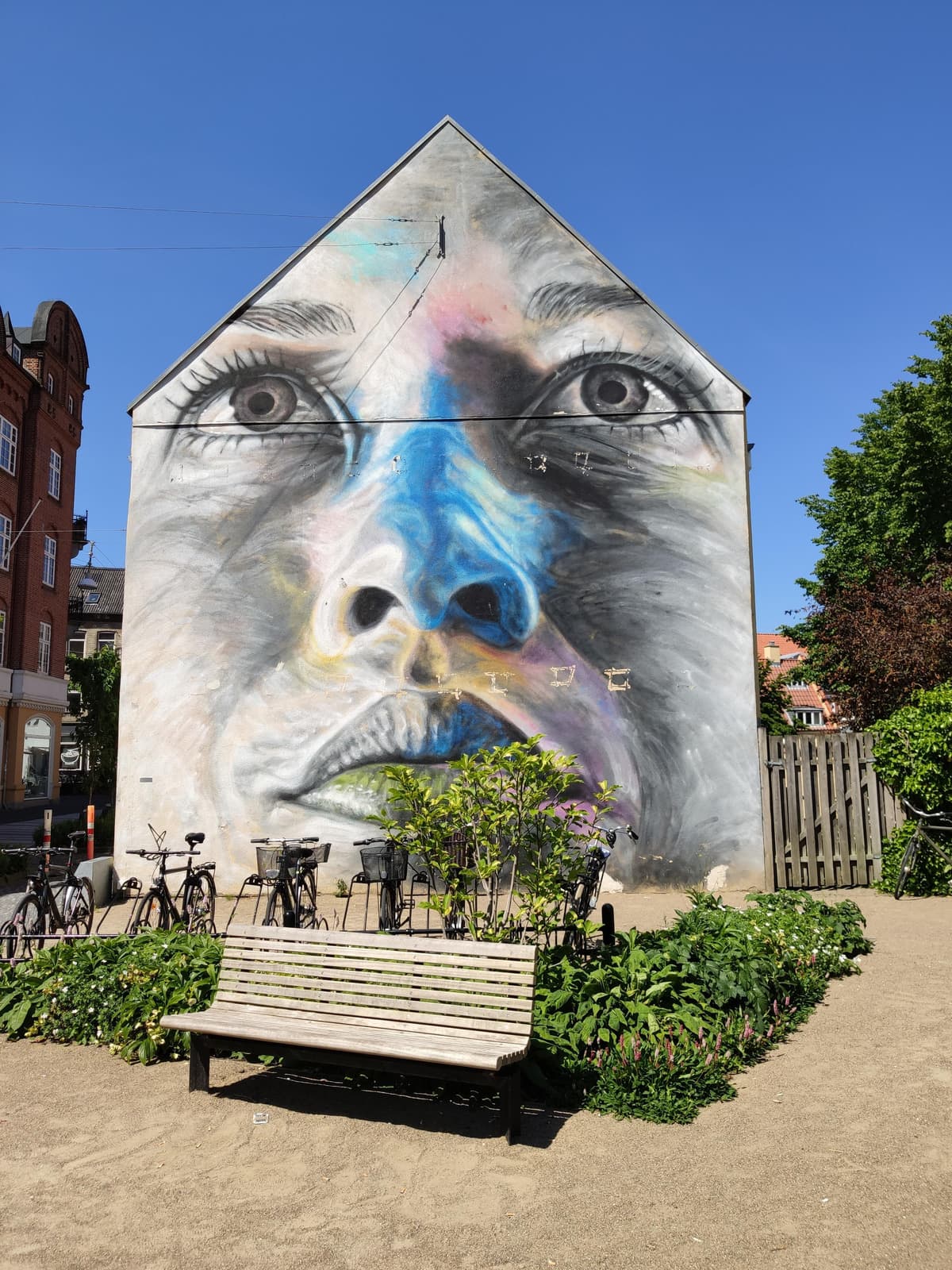 Beeindruckende Streetart in Aalborg - bunte Kunst an den Häuserwänden