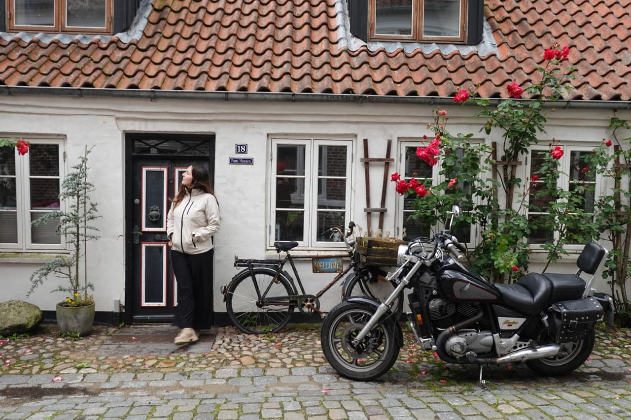 Malerisches schräges Fachwerkhaus mit blühenden Rosen in den engen Gassen von Ribe