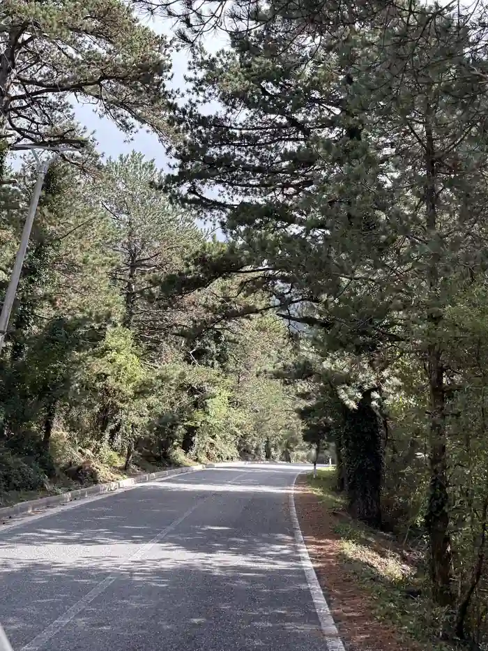 Gut ausgebaute Asphaltstraße mit Kurve zwischen Kiefern im Nationalpark Llogara