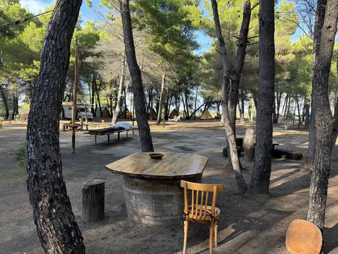 Holztisch aus einem Fass und Stühle zwischen Kiefern auf dem Eco Camping Valona bei Vlora