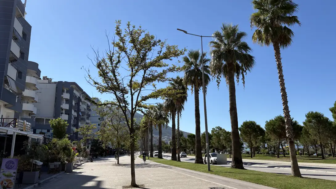 Breite Promenade Lungomare in Vlora mit hohen Palmen, Radweg und Wohnhäusern