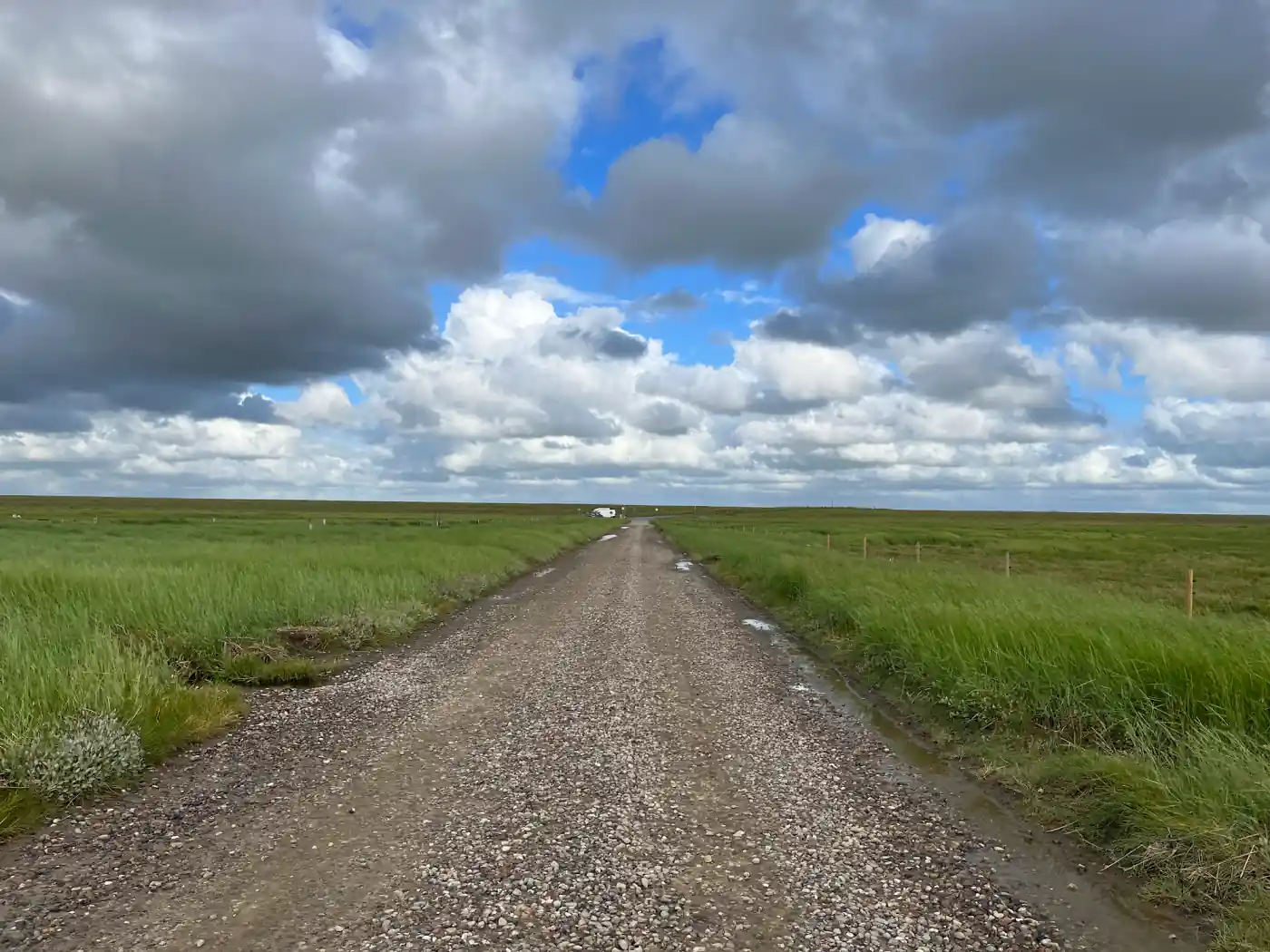Schotterstraße durch die grünen Salzwiesen des Wattenmeers auf dem Weg zur Insel Mandø