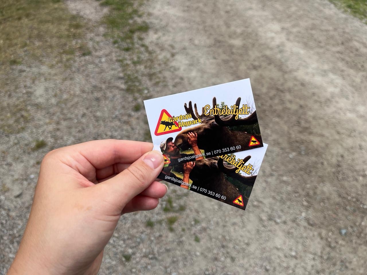 Wohnmobil-Parkplatz am Gårdsjö Älgpark mit anderen Campern