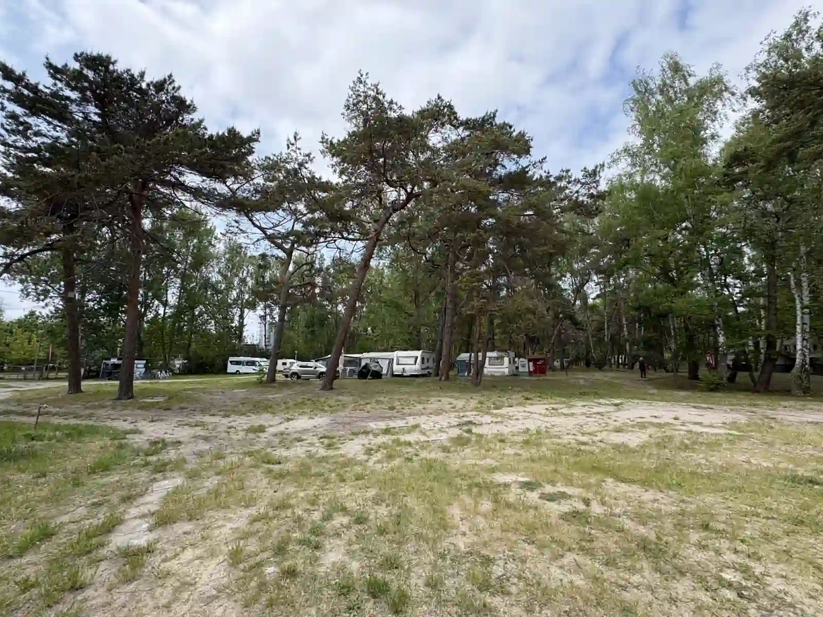 Stellflächen unter Kiefern auf dem Campingplatz Camp Hel, im Hintergrund Wohnmobile