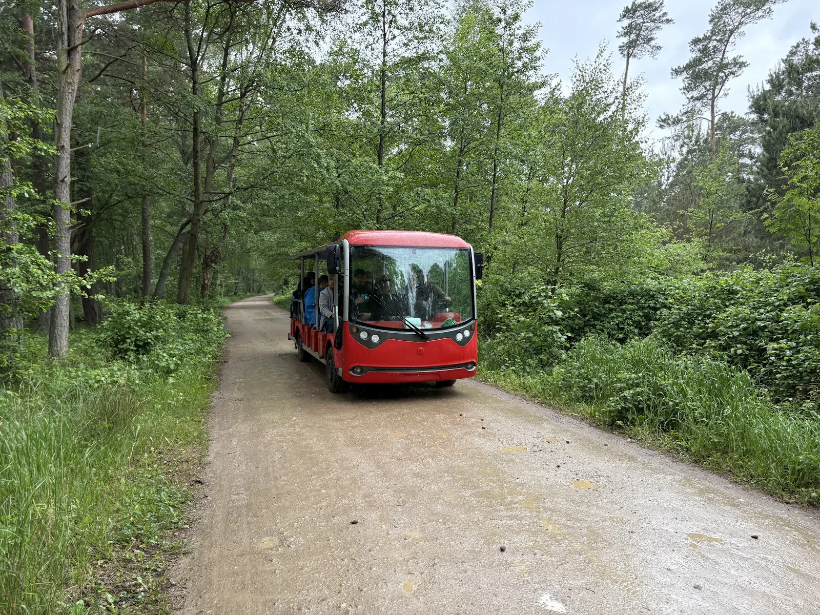 Elektrobus-Station Rąbka am Słowiński-Nationalpark bei Łeba