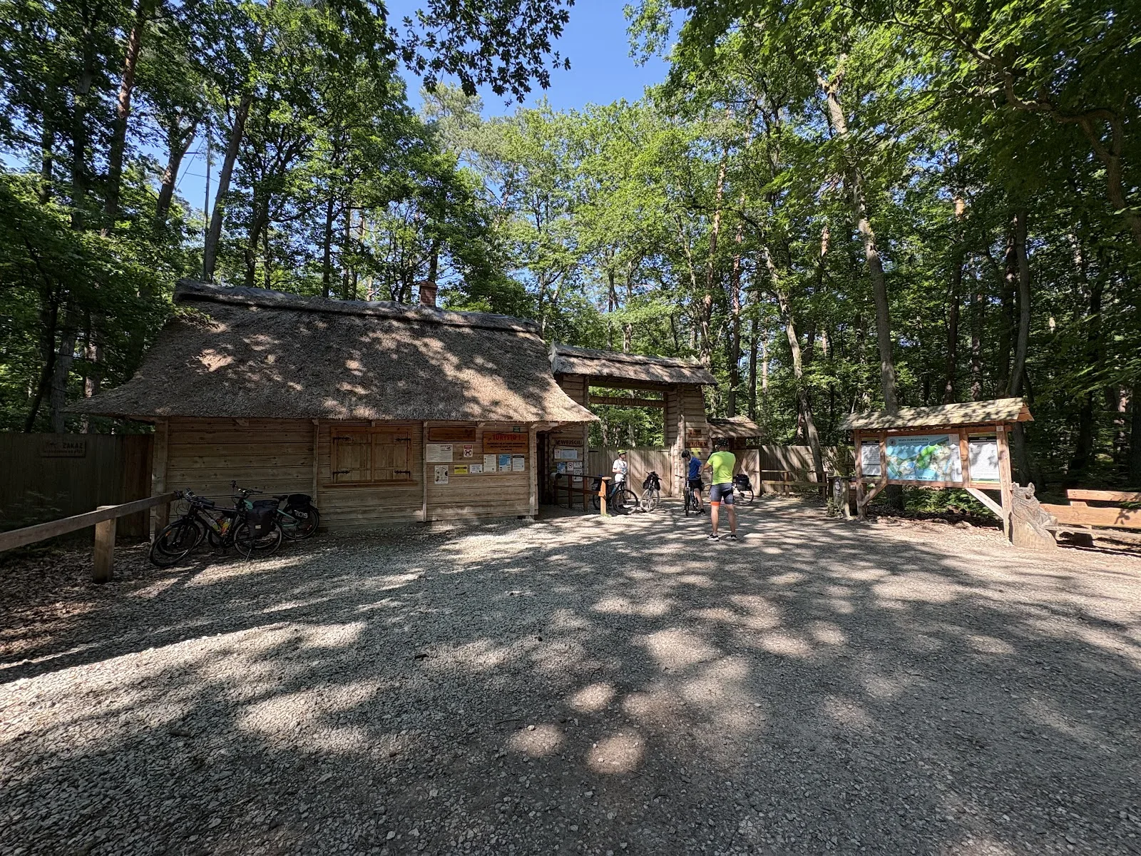 Wisente in der Schauanlage im Wolin-Nationalpark am Stettiner Haff