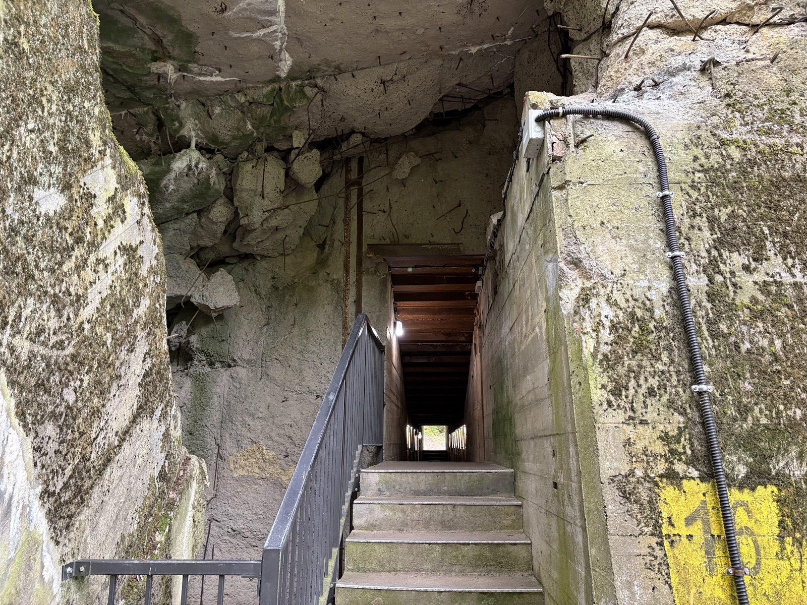 Rundgang-Treppe im Wolfsschanze-Bunker mit Nummer-Markierung des Audio-Guide-Systems