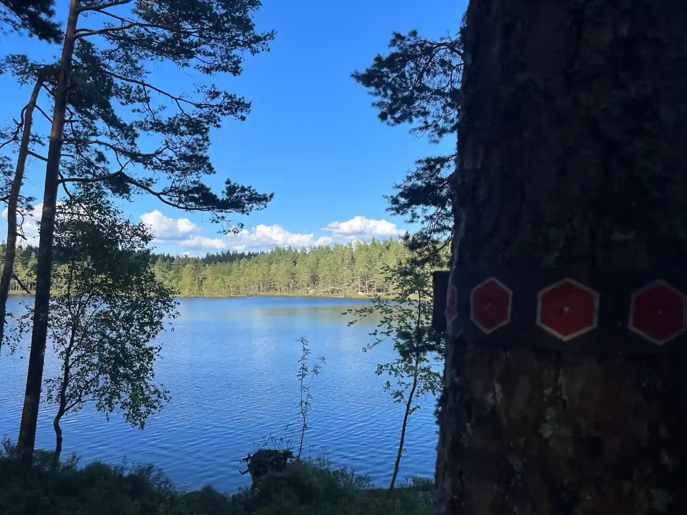 Rote Wegmarkierung an einem Baumstamm im Tiveden Nationalpark mit Blick auf einen Waldsee