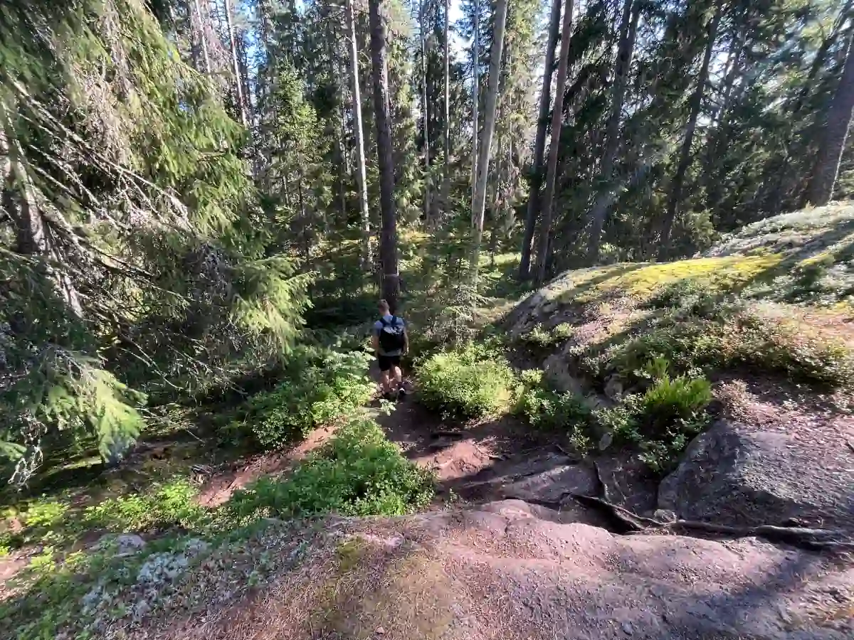 Wanderer auf einem schmalen Pfad neben moosbewachsenem Fels im Tiveden Nationalpark