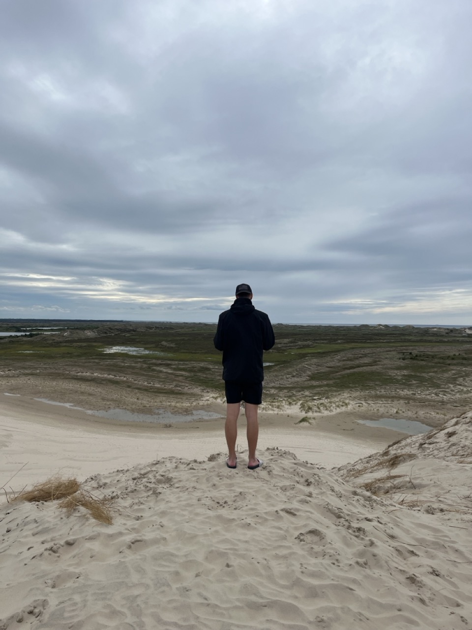 Råbjerg Mile Wanderdüne - die größte Wanderdüne Nordeuropas in Dänemark
