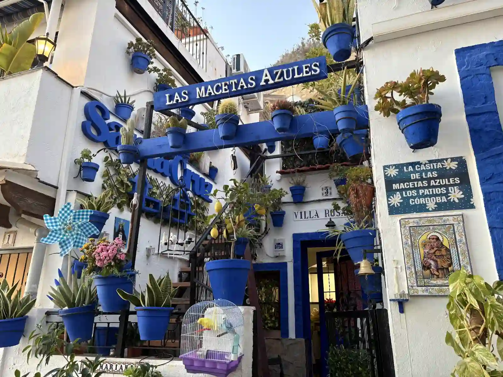 Das Haus Las Macetas Azules im Viertel Santa Cruz mit blauen Blumentöpfen