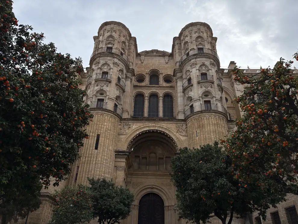 Fassade der Kathedrale von Málaga von unten, eingerahmt von Orangenbäumen