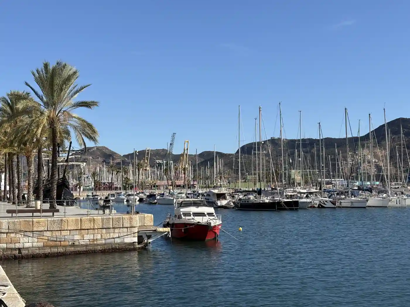Yachthafen von Cartagena mit Segelbooten, Palmenpromenade und den Bergen im Hintergrund