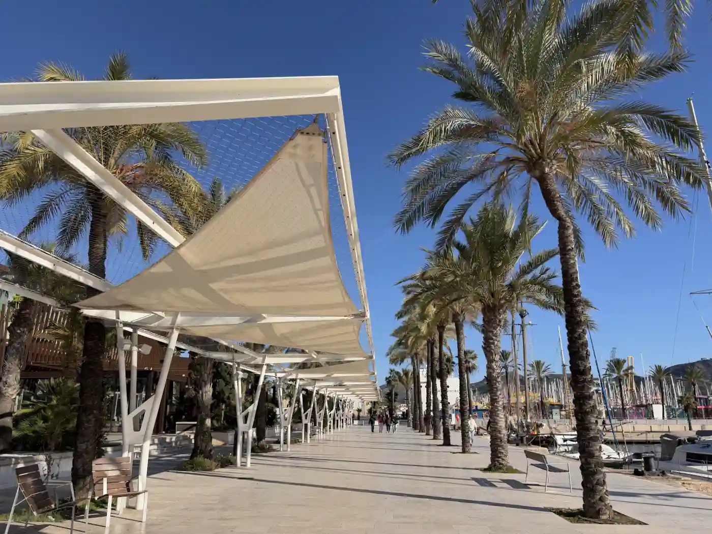 Palmenpromenade am Hafen von Cartagena mit weißen Sonnensegeln und Bänken