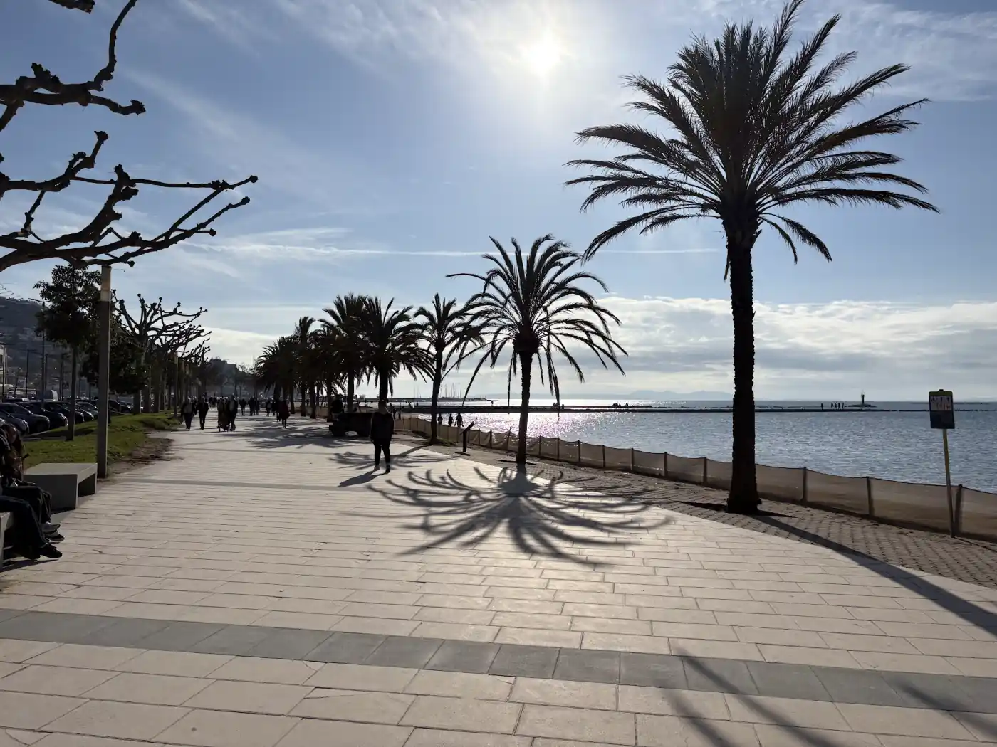 Palmengesäumte Strandpromenade von Roses an der Costa Brava im Abendlicht